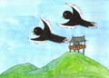 The Korean magpie