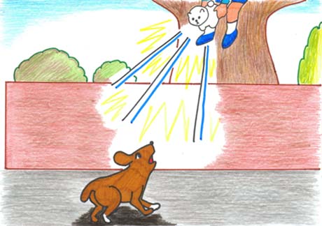 ���̓���ʂ��ǌ��A����Ƀ|�`�������Ėi�������点��Ƃ���