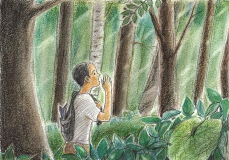 ���������ŎR���Ɍ������Ęb���|���Ȃ���R��������v�l