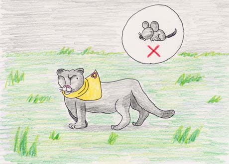 �����̃s���[�}