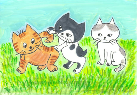 �Օ��̃l�R�ɂ����������l�R�A
       ��������ڂɌ��������C�̃^�}�l�R