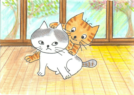 ���ڂŌ��Ă����^�}�l�R�ɂ������Օ��̊Â��l�R