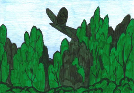 �؉A�Ɍ����Ȃ��Ȃ�[����